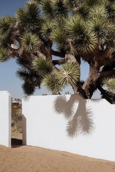Le Chacuel Villa Joshua Tree Ngoại thất bức ảnh