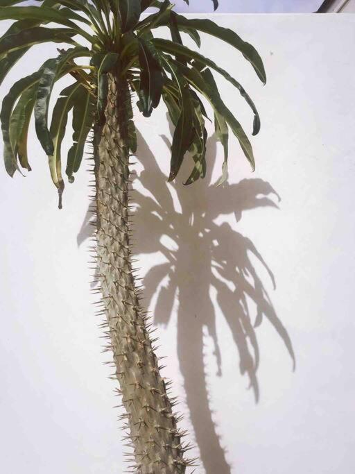 Le Chacuel Villa Joshua Tree Ngoại thất bức ảnh